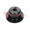 Devirdaim Pulesi Sac Fiat 480