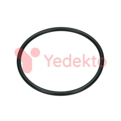 016 Hidrolik Gömlek Lastiği Fiat 480