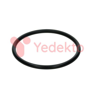 012 Hidrolik Piston Lastiği Fiat 480