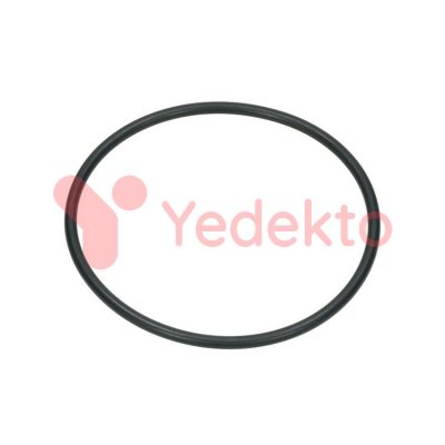 019 Hidrolik Piston Lastiği Fiat 60/56