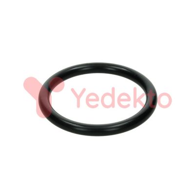 006 Hidrolik Kol Lastiği Küçük Fiat 480