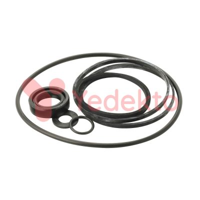 Hidrolik Direksiyon Pompa Tamir Takımı 191 A (4Tm040) Massey Ferguson 165